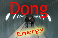 Privat rundtur hos Dong Energy